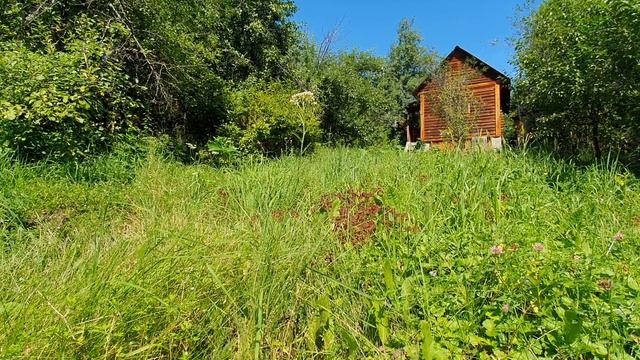Ночь напролёт за окном шелестели...