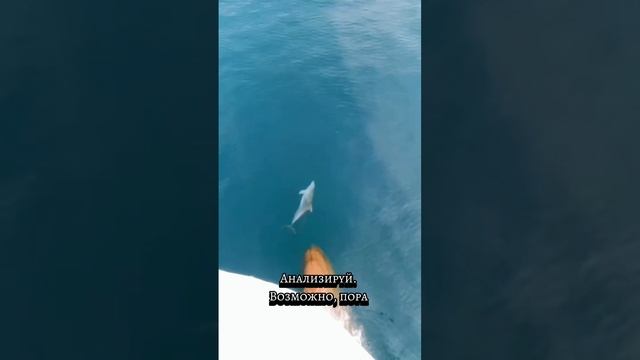 тенденции дня