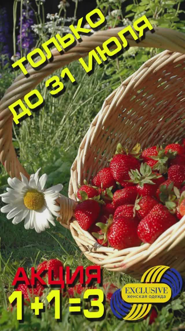ТОЛЬКО ДО 31 ИЮЛЯ - АКЦИЯ 1+1=3