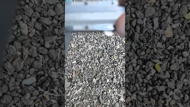 1000055715.mp4