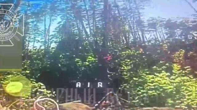 Бои в Черниговской области: наши операторы БпЛА хоронят заживо украинских оккупантов