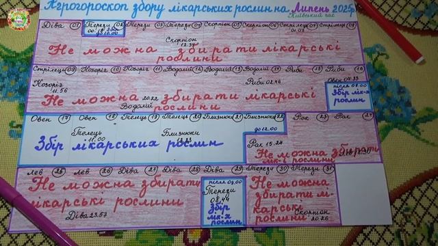 Лучшие дни для сбора лекарственных растений в июле 2025