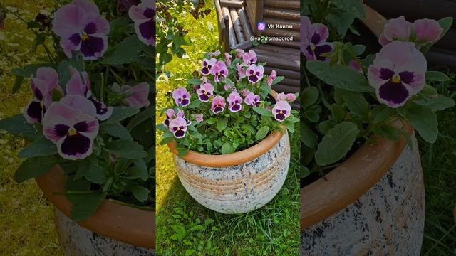 Для хорошего настроения