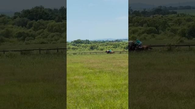 1000005971.mp4