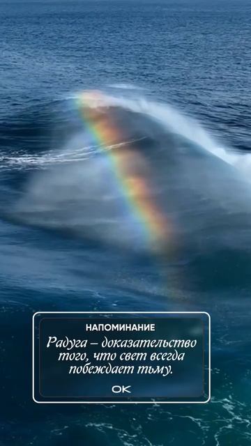 радуга