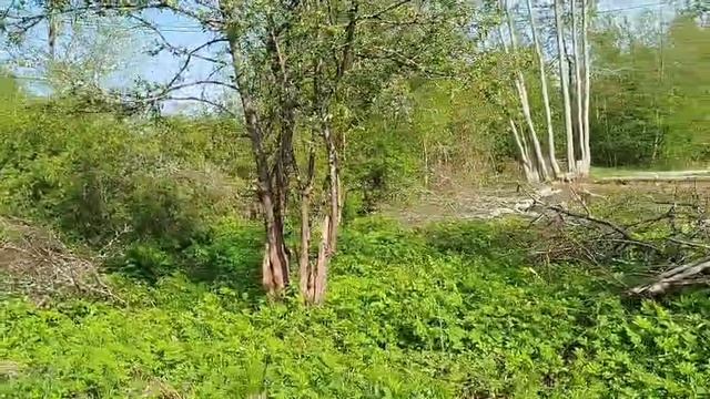 земельный участок продажа