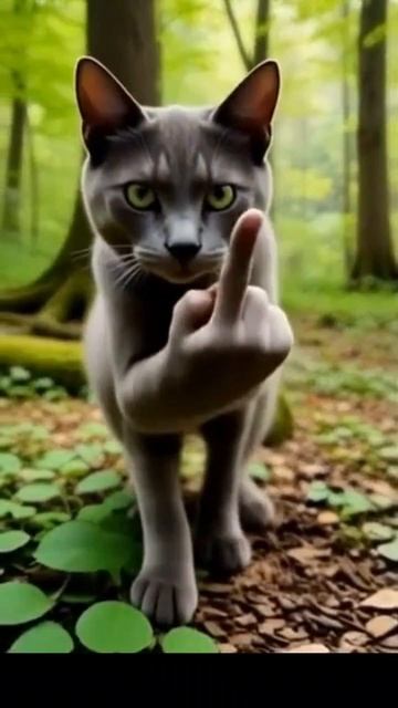Отправь это другу #отправь #другу #кот #тренд #фак