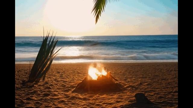 Retro Shore – Lo-Fi VHS Beach Loop 📼