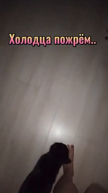 Ночной гимн😂