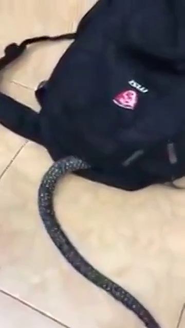 испугались?