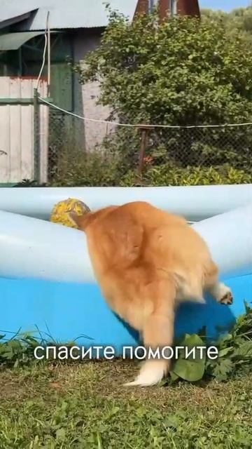 Отдыхаю на бассейне