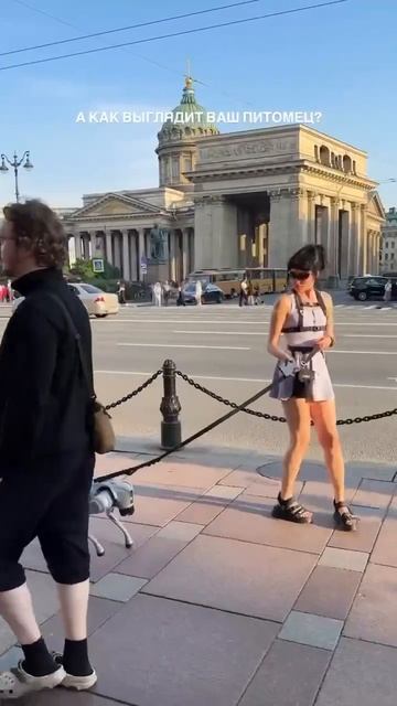 По Невскому кракозябру водили