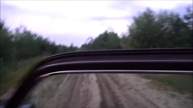 РУССКИЕ  ГОНЧИЕ ч. Говоруша и ч.п/ч. Сигнал (Плакуня) вл. Шатров В.А.#охотасгончей#соб#топ #hunting