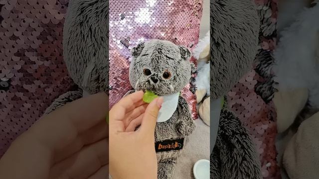 Вечерний влог с басиком Мией💞.