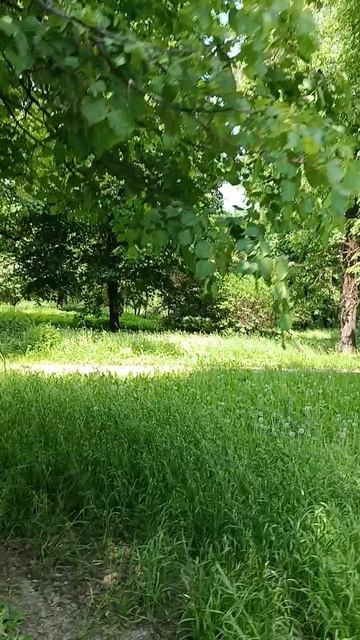В парке.
