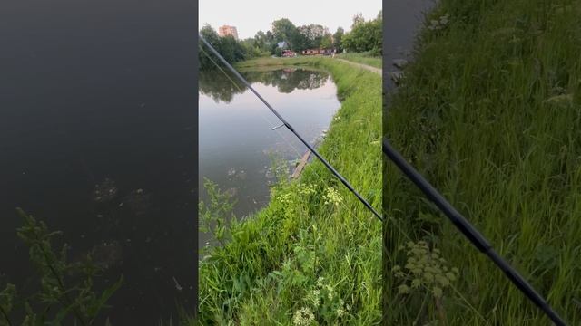 Два окуня подряд на мормышку!