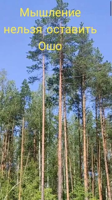 (2) Мышление нельзя остановить Ошо