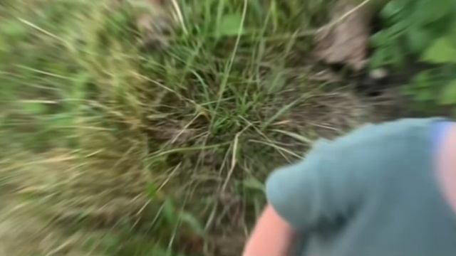 Наш семейный отдых