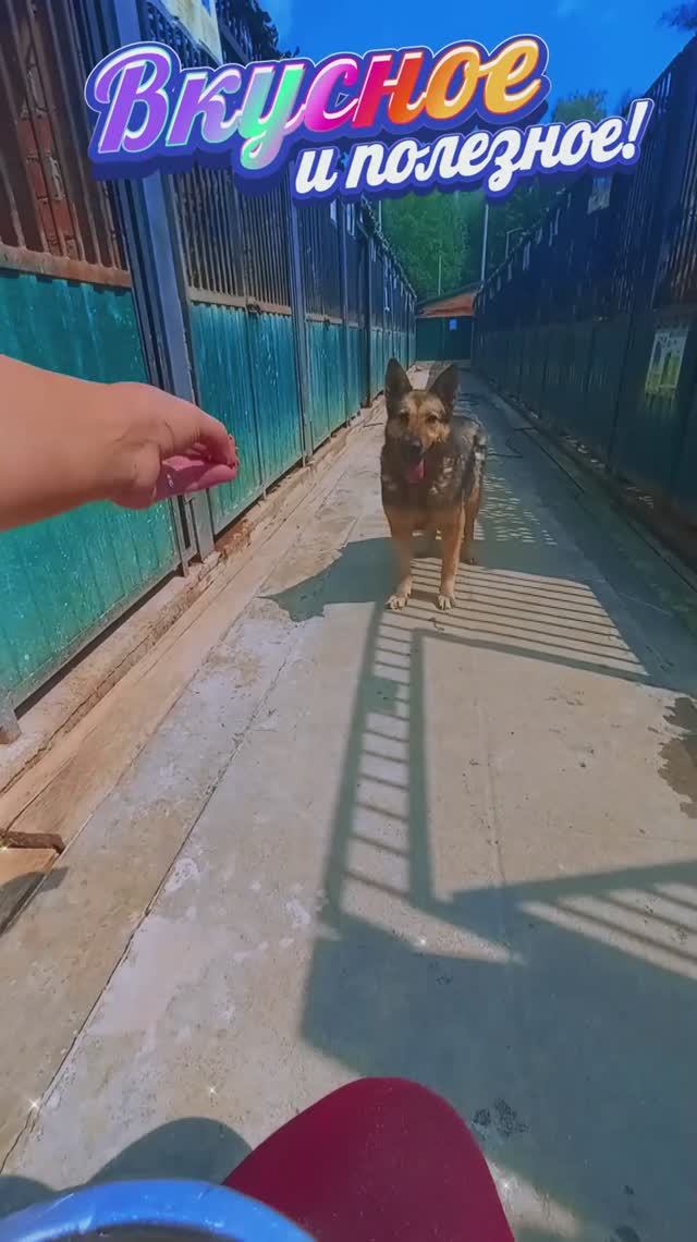 "Ты это, заходи, если что!" ❥ Приют в Малинках