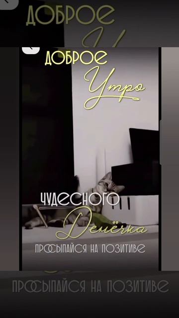 Доброе утро #доброеутро #благодарность