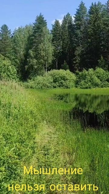 (4) Мышление нельзя остановить Ошо