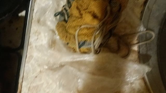 VID_20250711_020205


22 рыбы