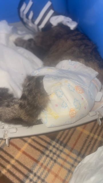 МЫ ВЧЕРА ЭКСТРЕННО ПОЕХАЛИ НА УСТАНОВКУ КАТЕТЕРА