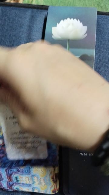 1000025842.mp4