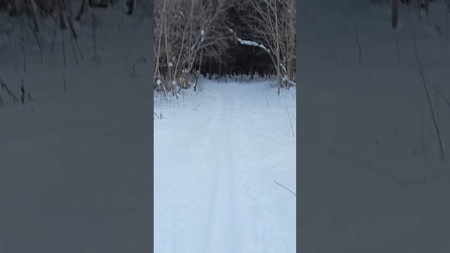 Крещенская пробежка за водными процедурами