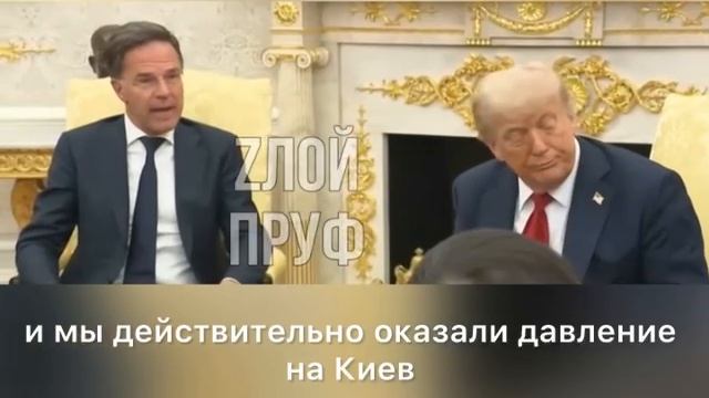 Рютте ябедничает Трампу(ябеда корябеда)