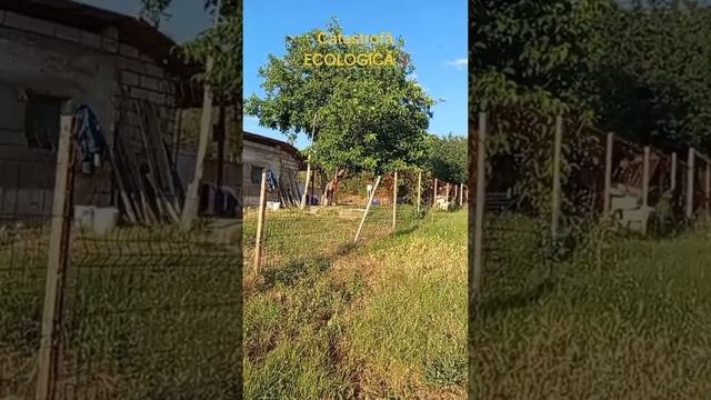 🔴 AUUU GUVERNAREA PAS LASATI FURATUL MAI APUCATIVA DE LUCRU....