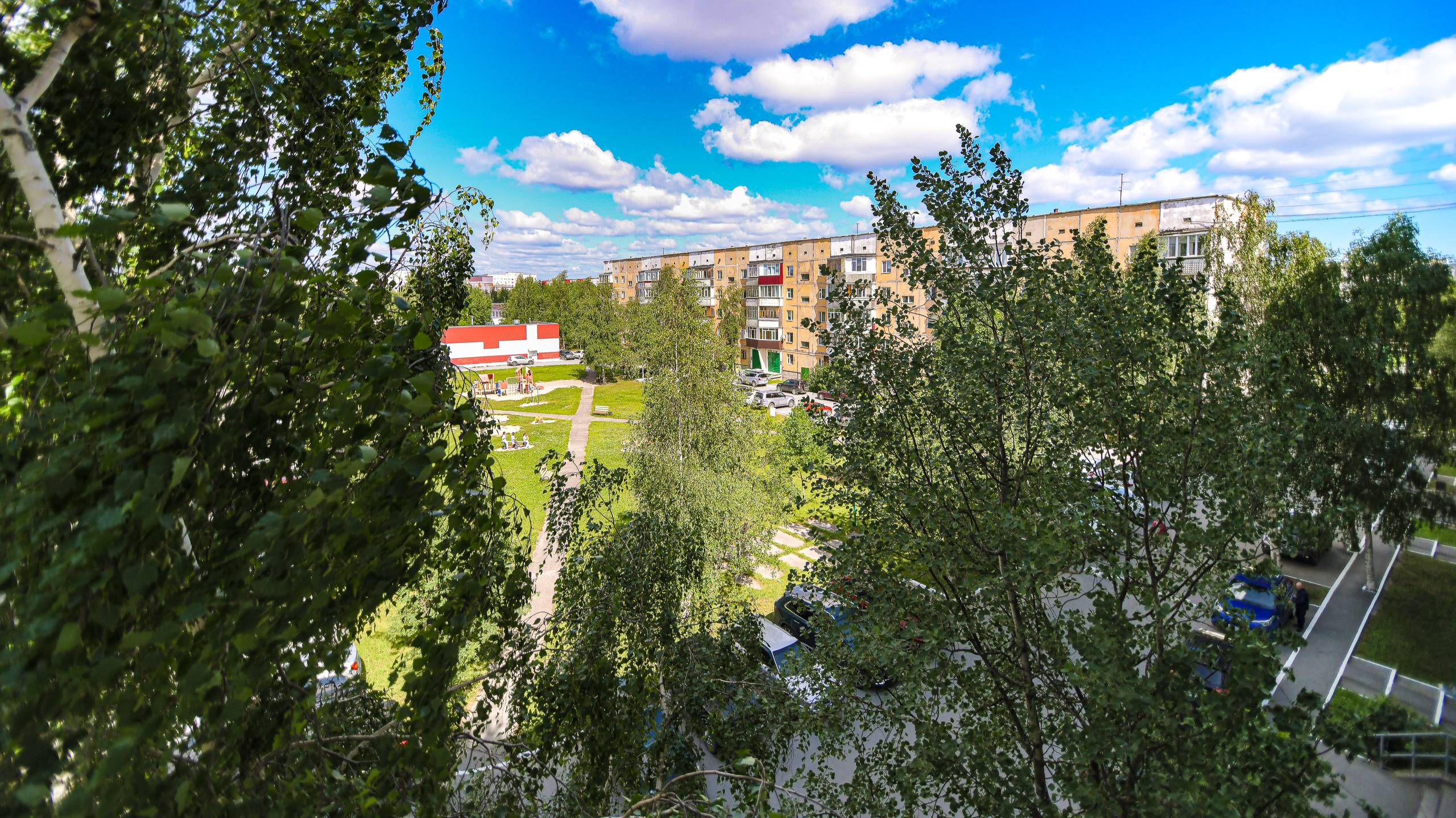 9050565 Кукуевицкого 12/2