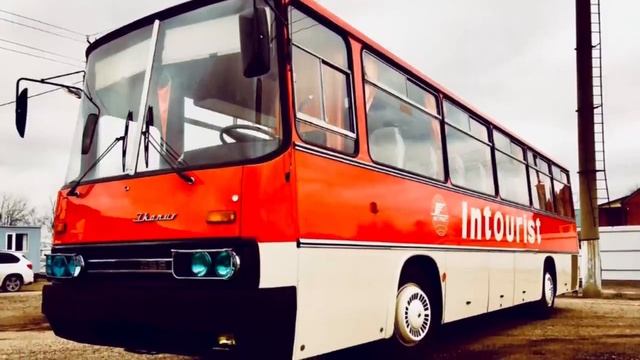 Зачем хитрые советские шоферы ставили Зелёные Очки на автобусы Икарус_