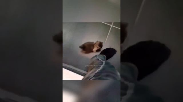 1000054572.mp4