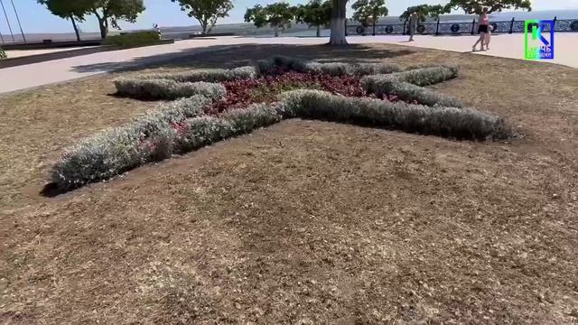 Цветочные вандалы орудуют в Керчи