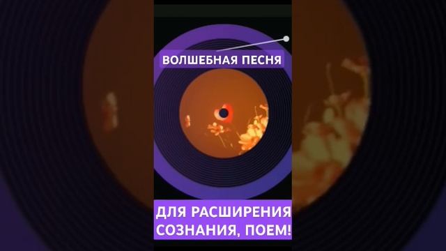 волшебная песня