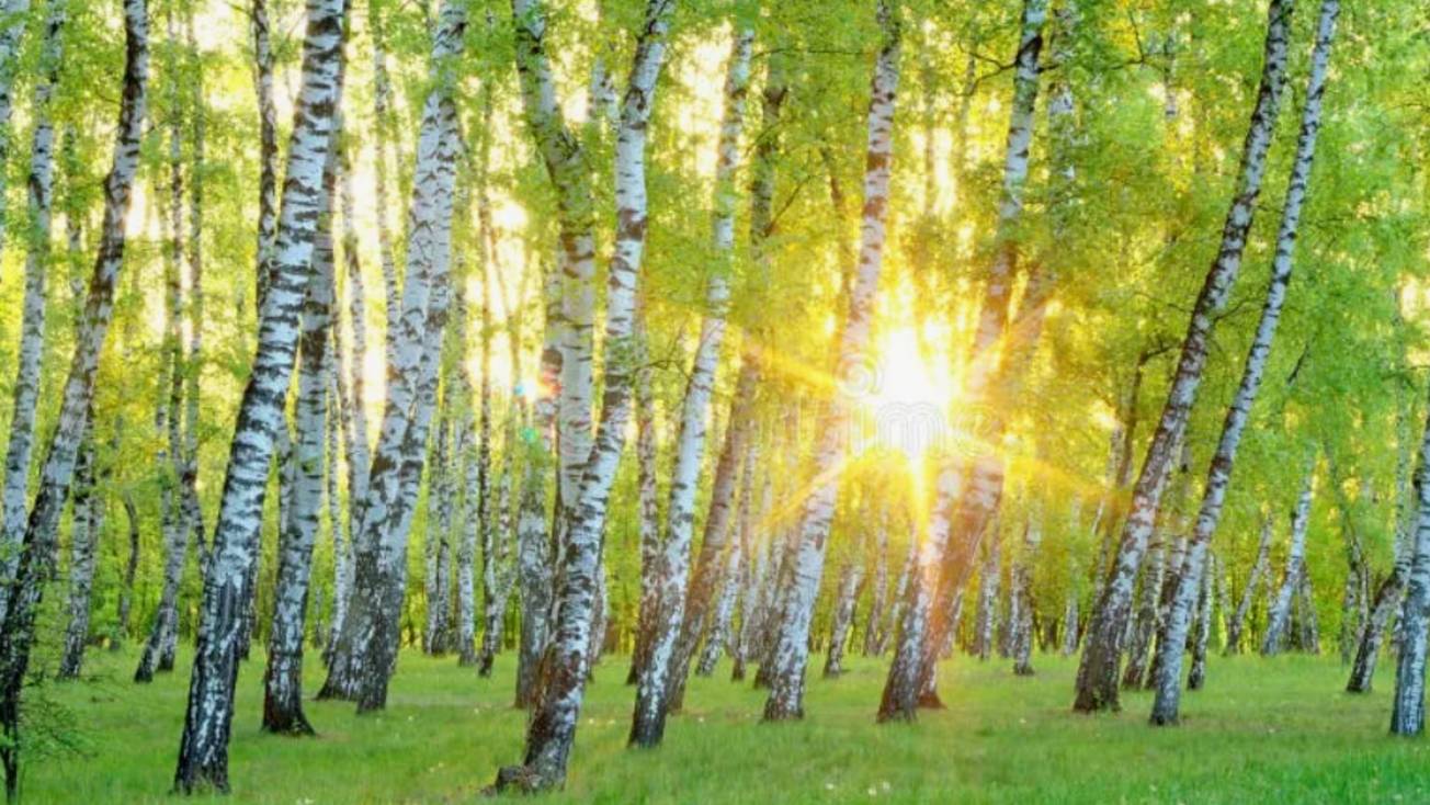 Жизненные истории - Как такса и сдача научили меня жизни и совести... НОВИНКА