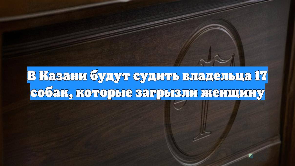 В Казани будут судить владельца 17 собак, которые загрызли женщину