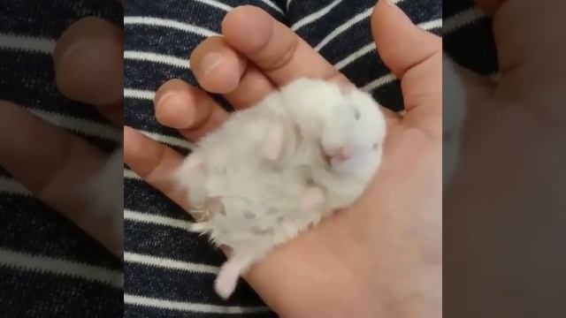 прекрасный сон 😴