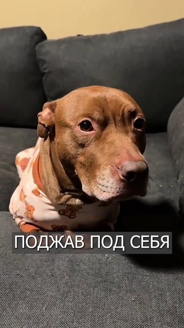милота