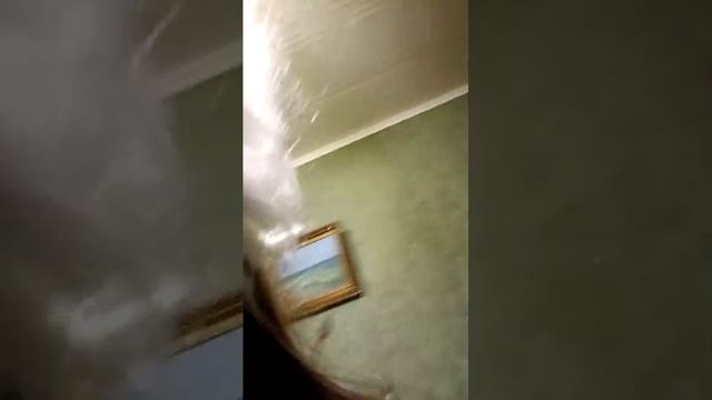 квд