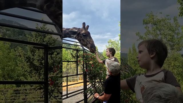 зоопарк
