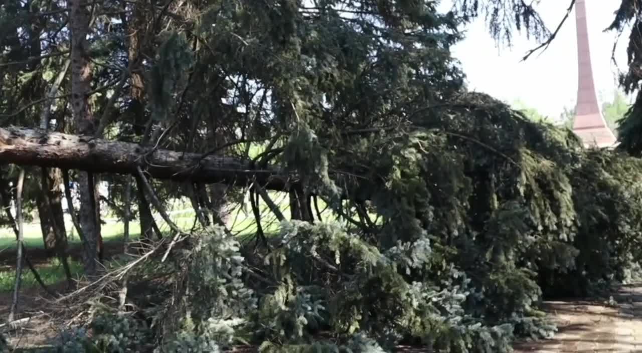 Молодёжка Горловки убрала последствия непогоды 🧹