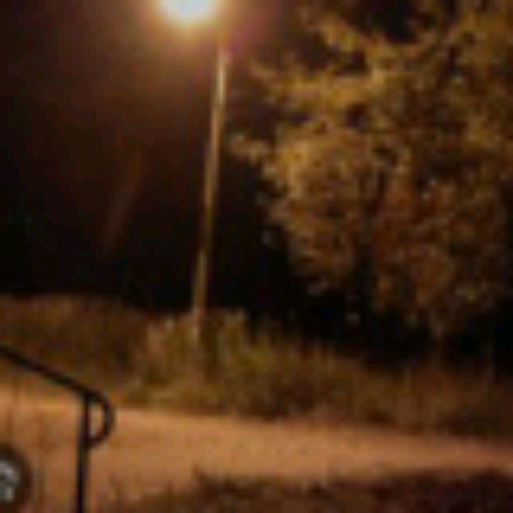 오징어 게임 🦑