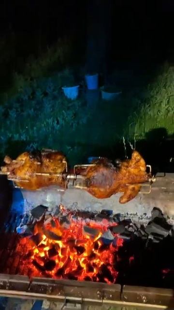 Курочка на вертеле #жизньвкайф #automobile #готовканаприроде #capybara #еда #рецепт #тожевкусно