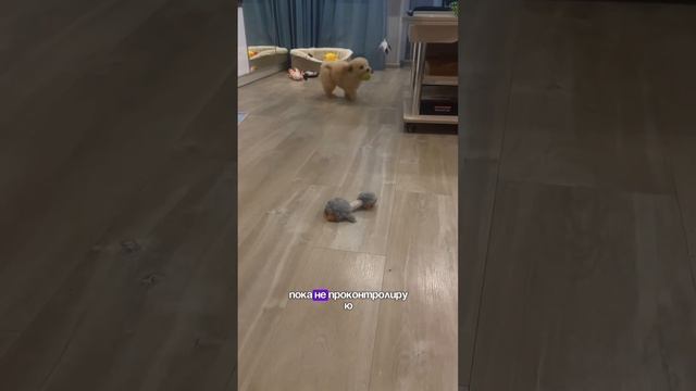 Мой опыт