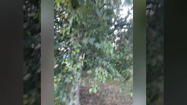 Природа она всегда прекрасна.mp4