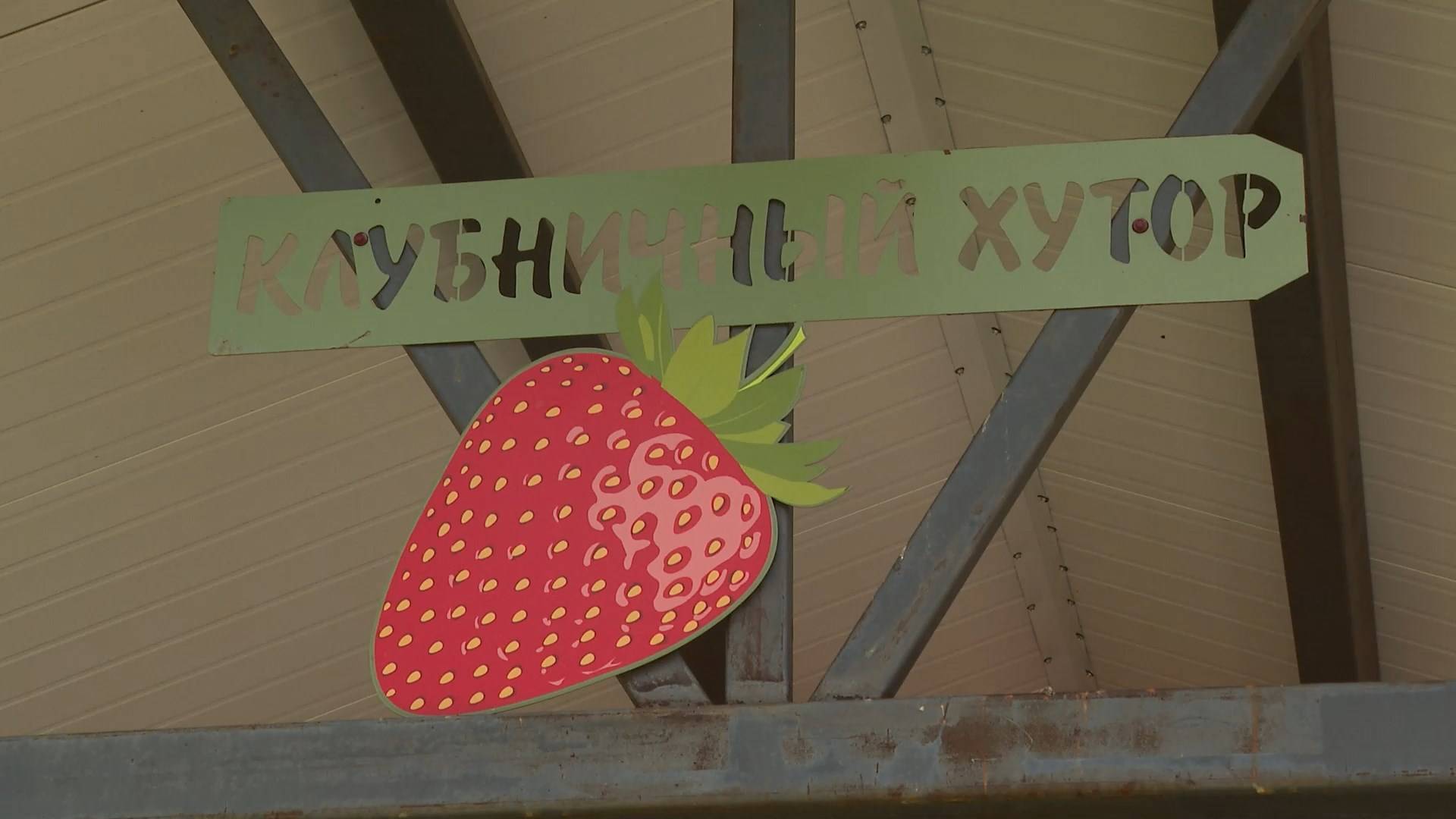 Органическая клубника из Поседкино набирает популярность