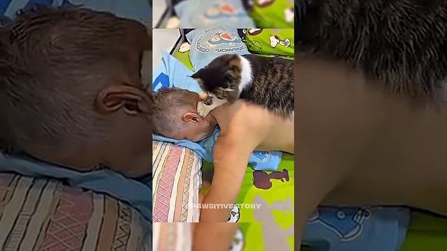 Как же это трогательно и честно!