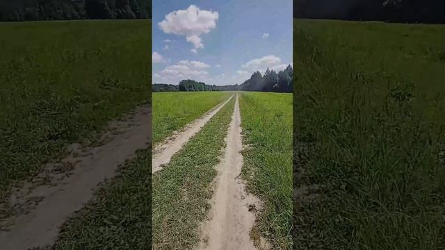 Филина Гора 2024 50км